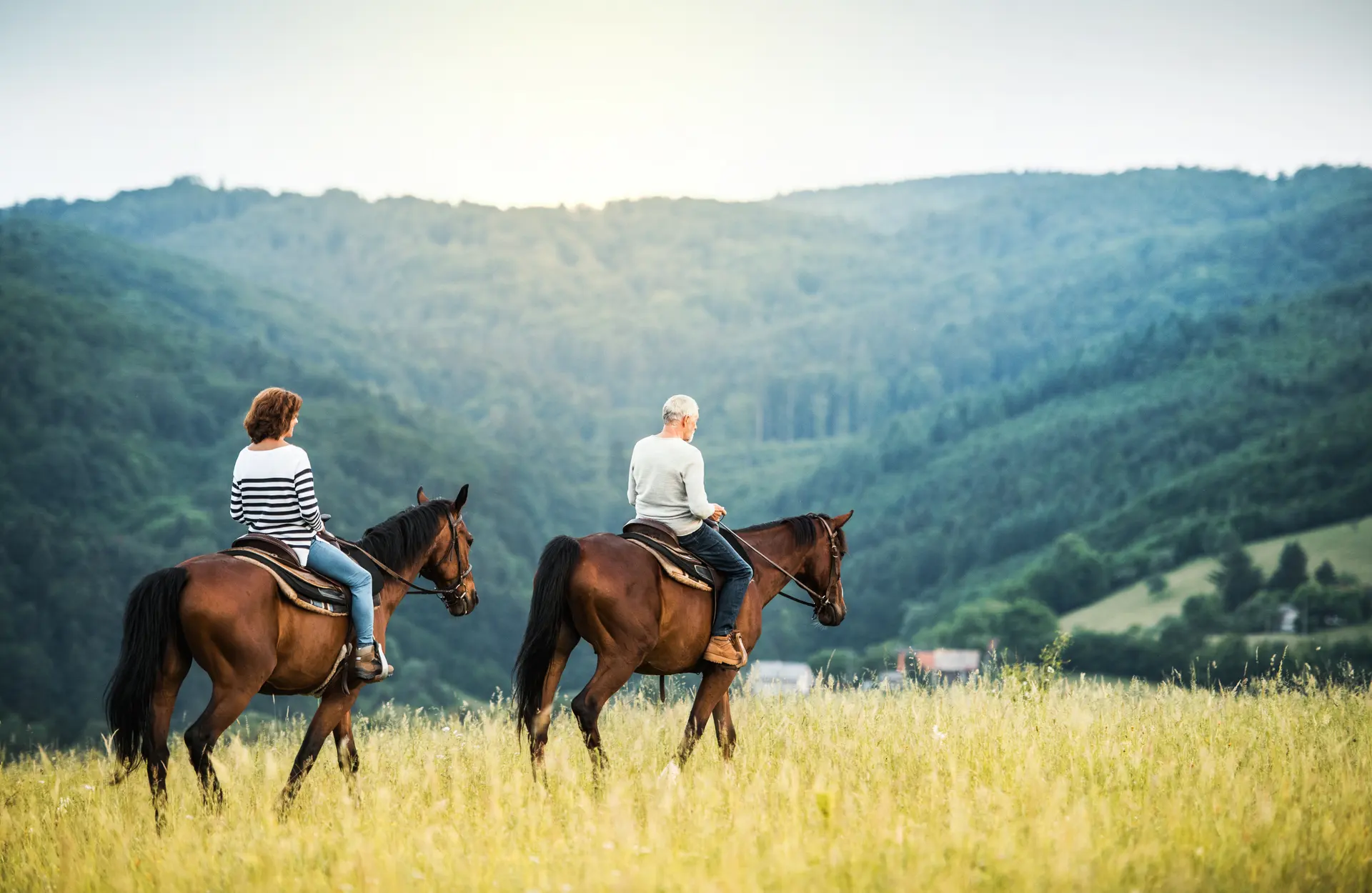 Horse riding through open country