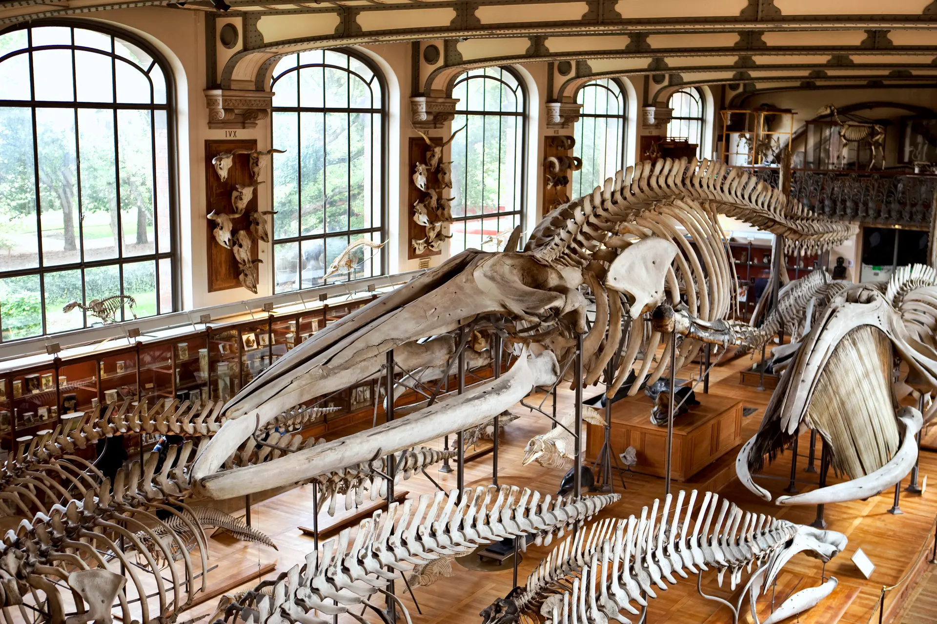Museum and cultural tour