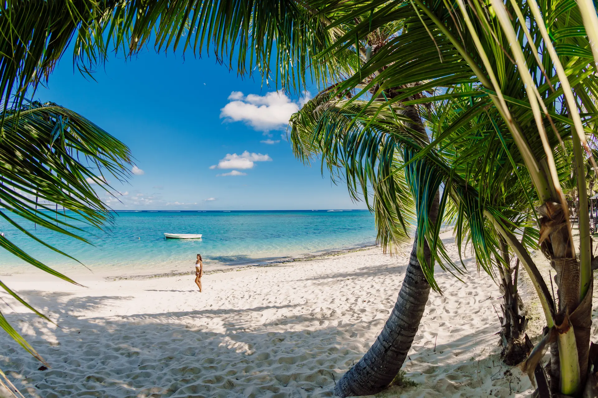 Relaxing on a tropical palm beach