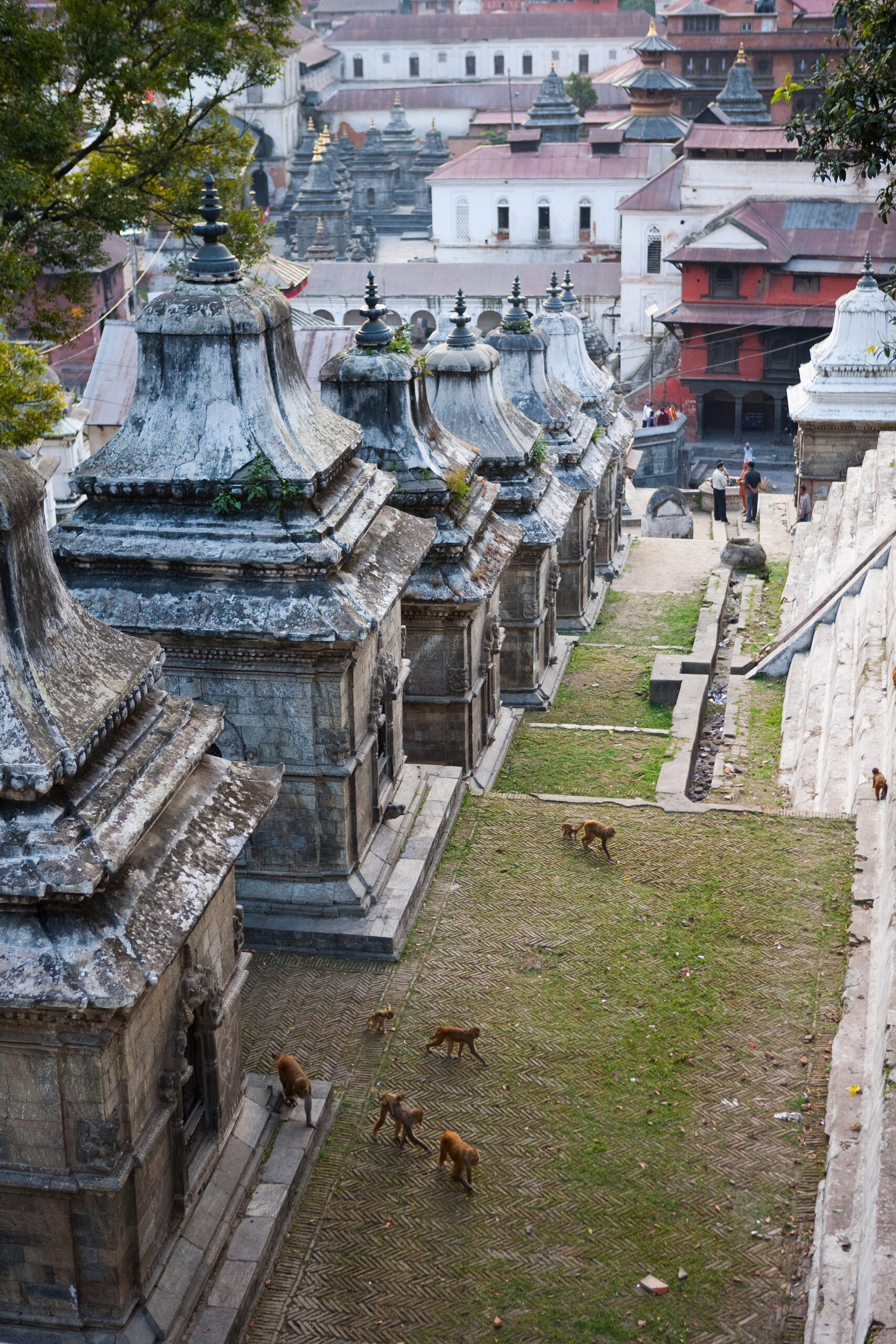 pashupatinath temple kathmandu nepal 2024 11 03 07 19 05 utc scaled
